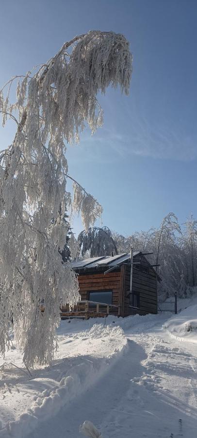 Enklawa W Porebie Długopole-Zdrój Buitenkant foto