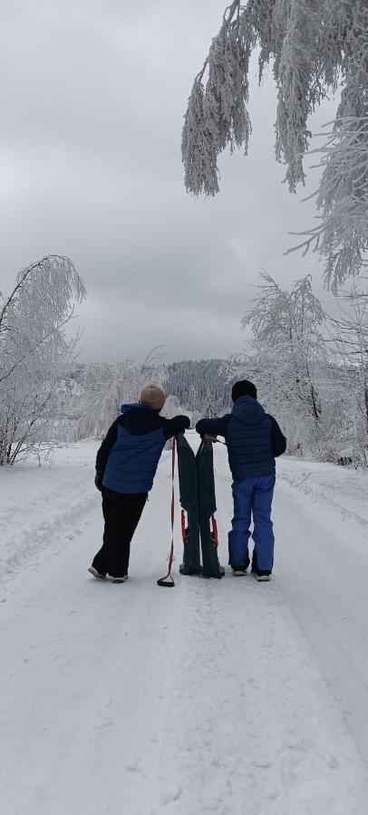 Enklawa W Porebie Długopole-Zdrój Buitenkant foto